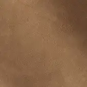 24127408 - OLIVA